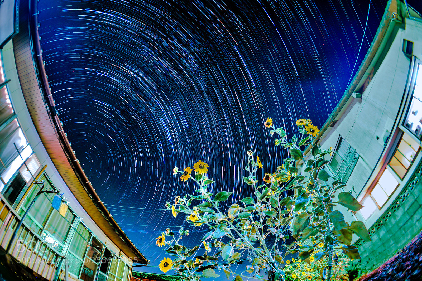 Sony a6000 sample photo. Tsushima photography