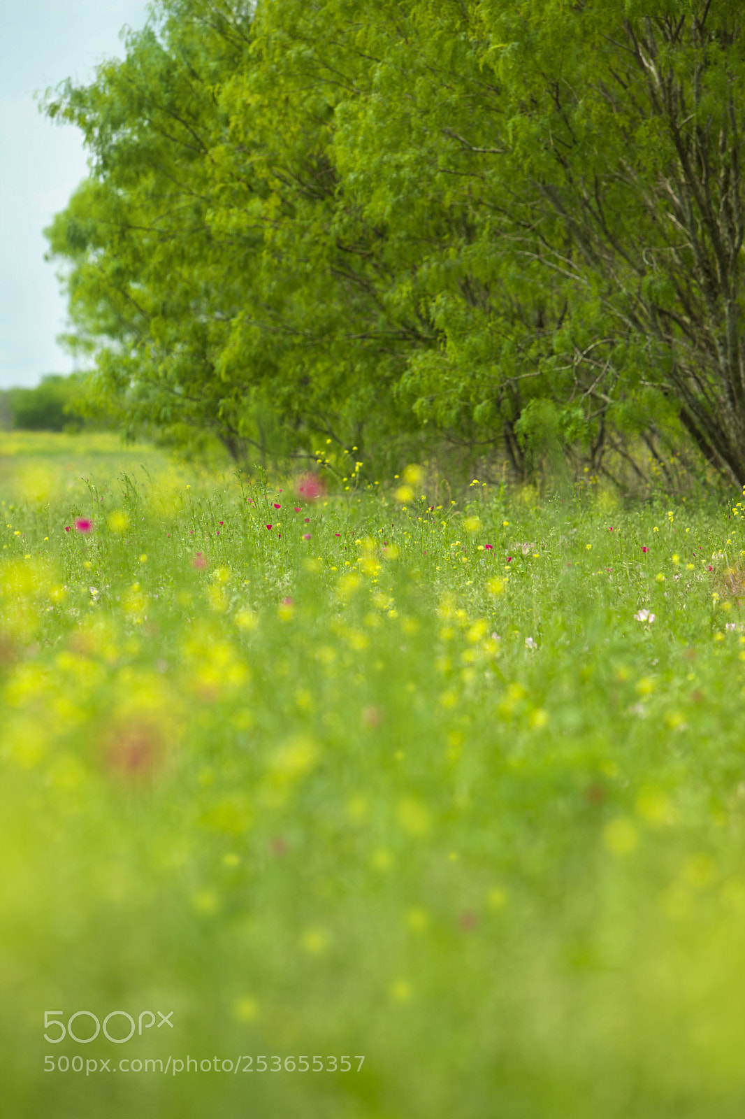 Canon EOS 5D Mark II sample photo. Beware of rattlesnakes... photography