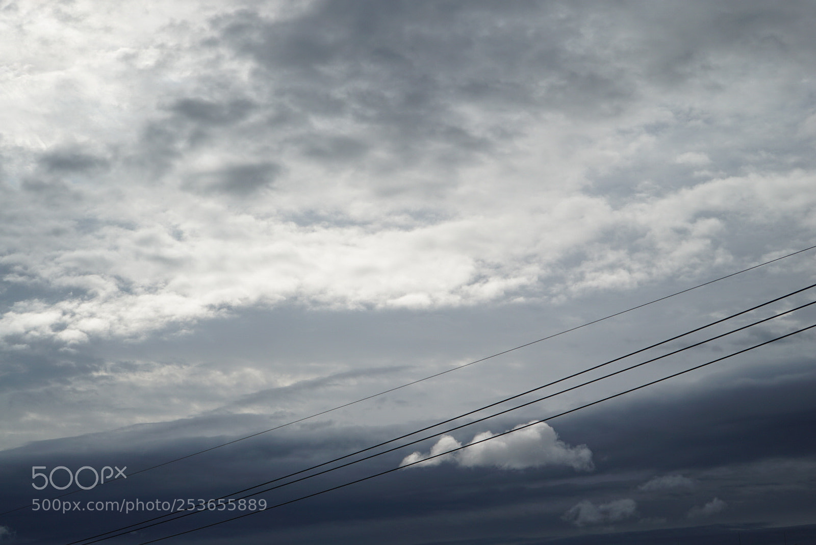 Sony a7S sample photo. Untitled photography