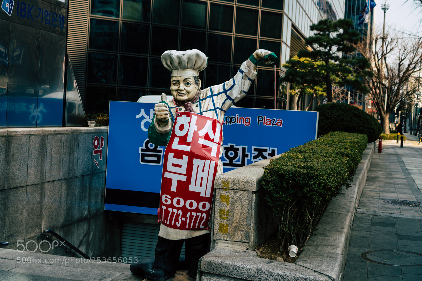Sony a6300 sample photo. Chef photography