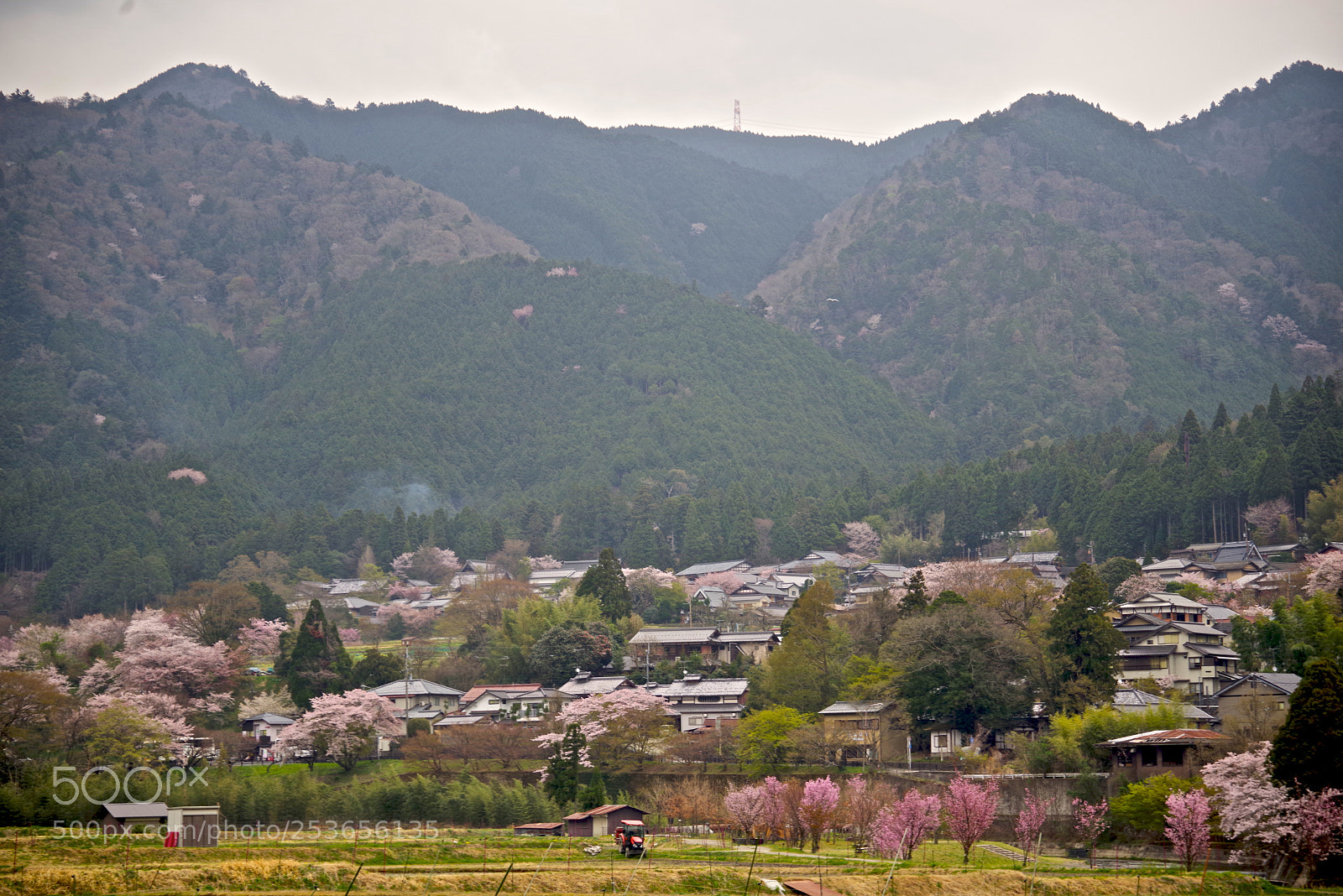 Pentax K-1 sample photo. Ohara country photography