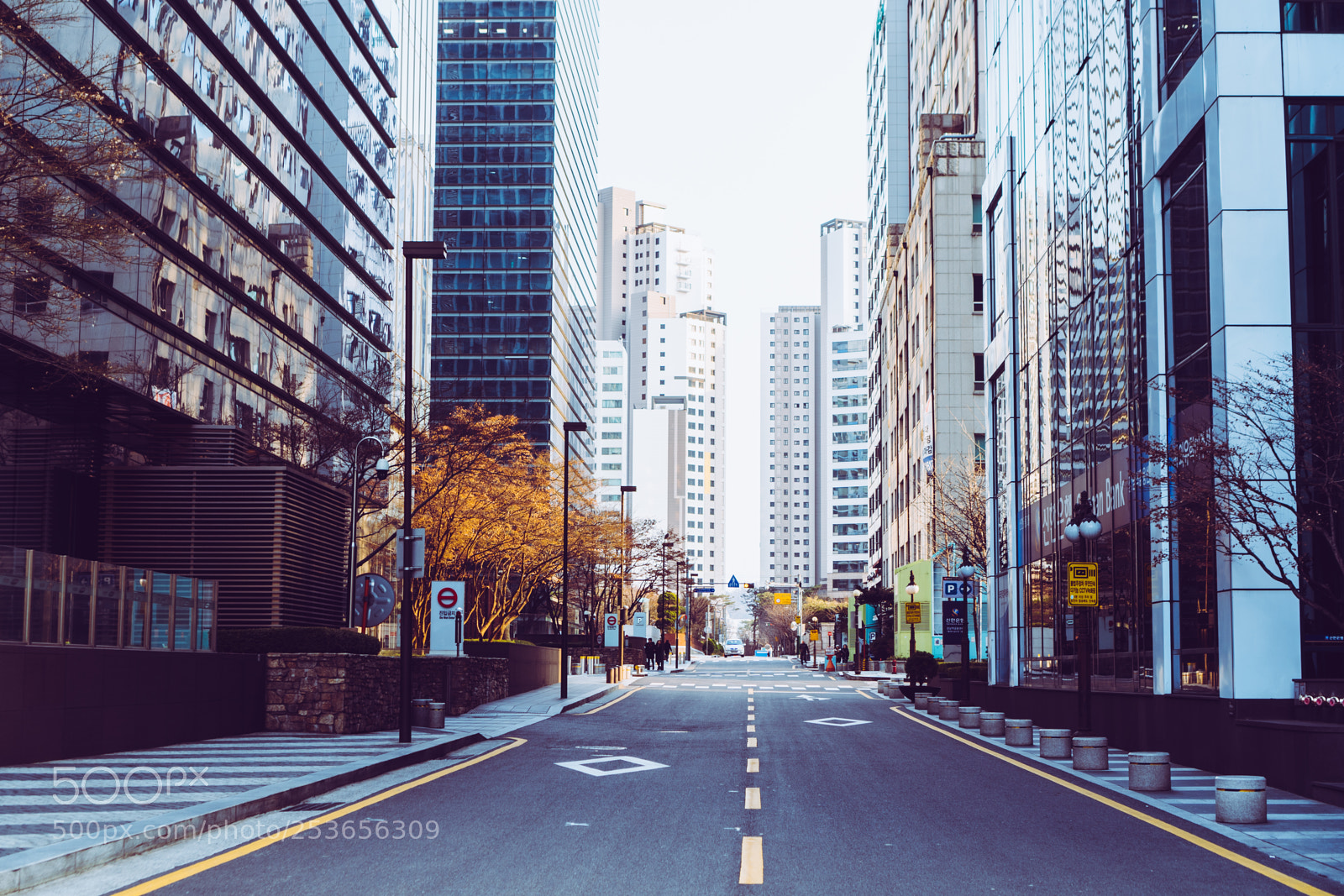 Sony a6300 sample photo. Gangham road photography