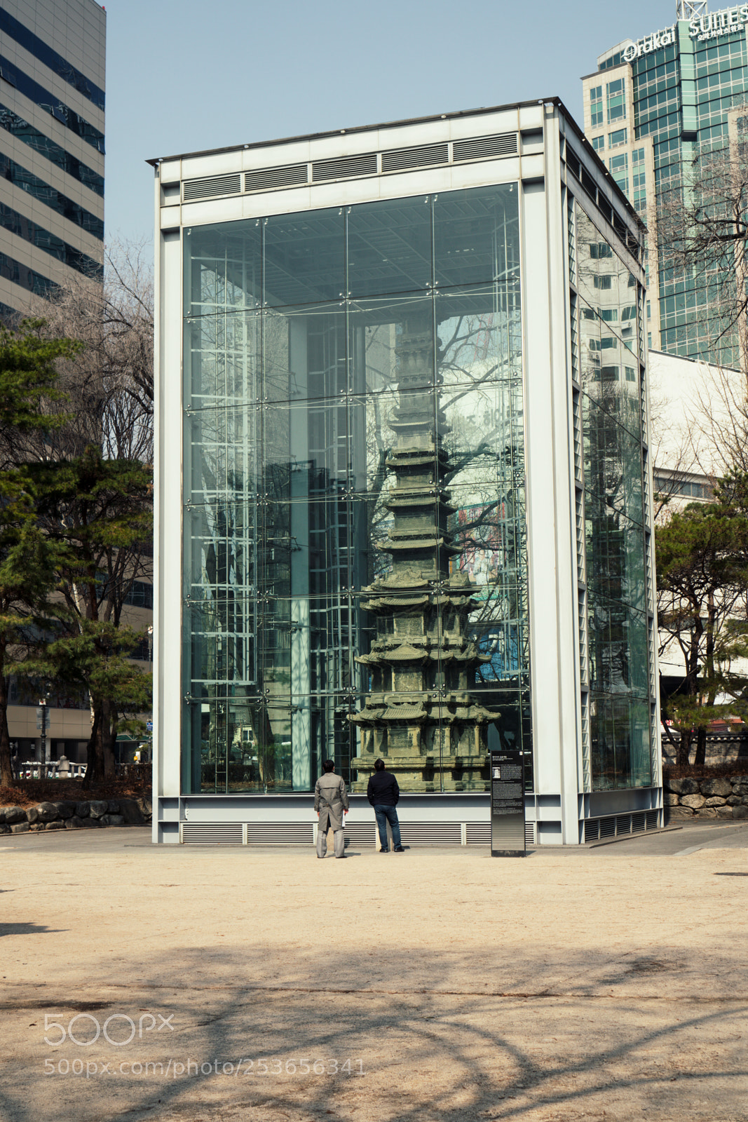 Sony a6300 sample photo. Glass case photography