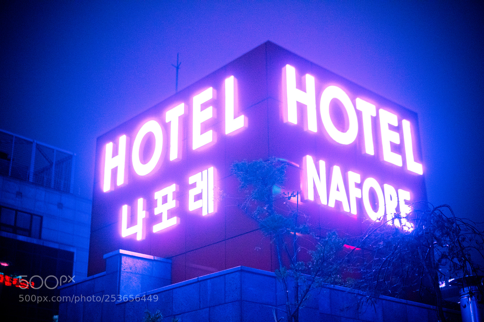 Sony a6300 sample photo. Hotel nafore photography