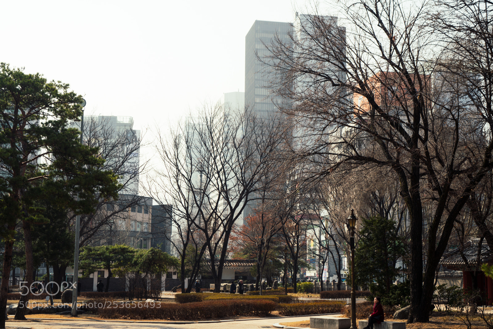 Sony a6300 sample photo. Listening photography