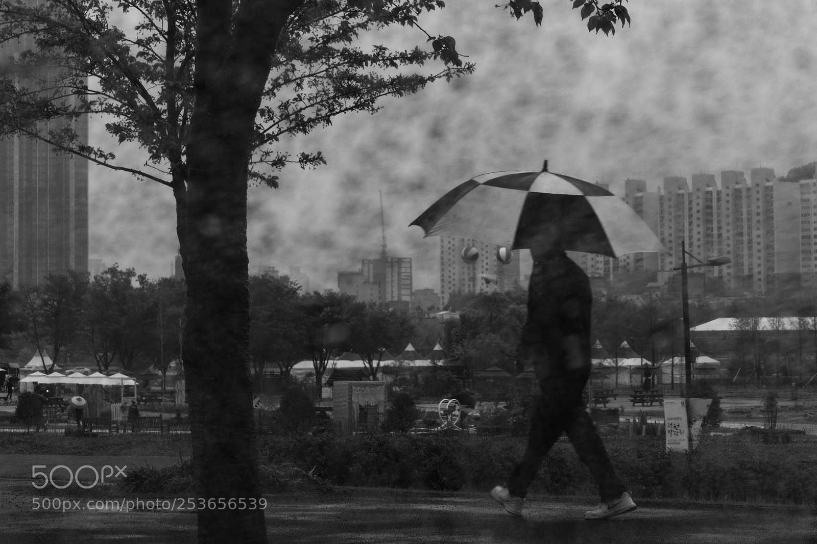 Sony a7R II sample photo. Walking in rain photography