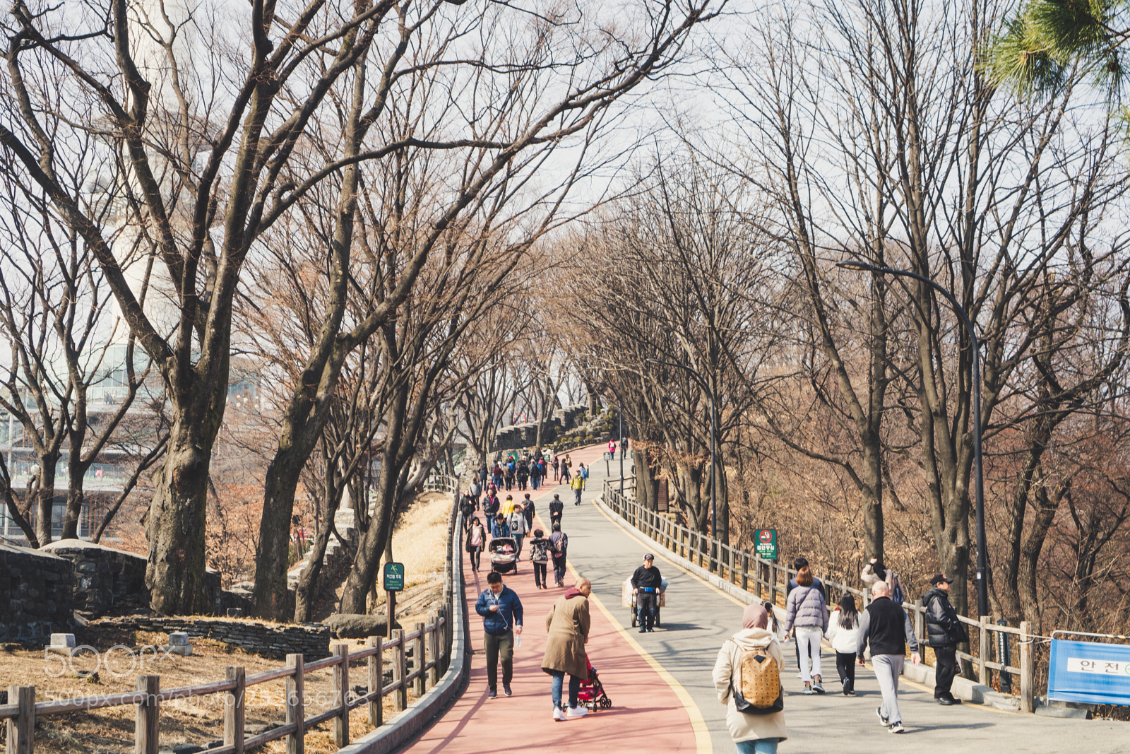 Sony a6300 sample photo. Pathway photography