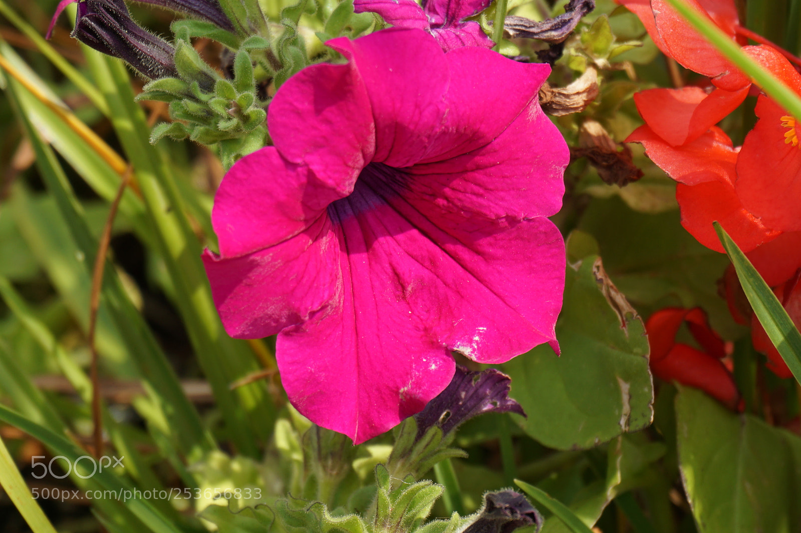Sony a6000 sample photo. R photography