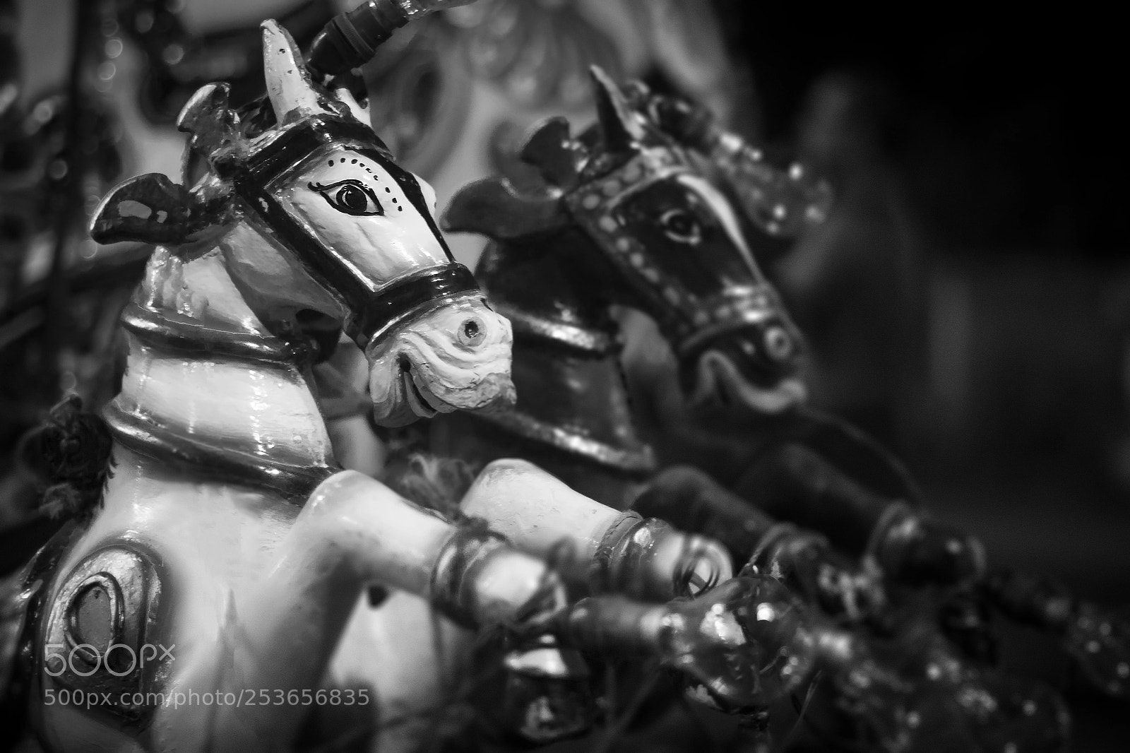 Canon EOS 550D (EOS Rebel T2i / EOS Kiss X4) sample photo. Wooden horse photography