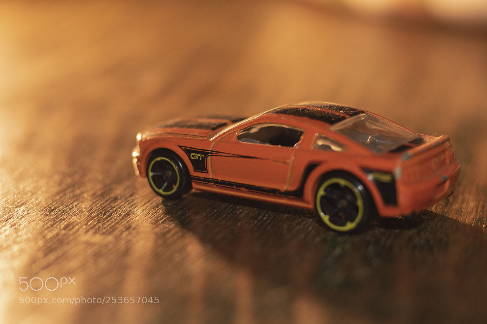 Canon EOS 750D (EOS Rebel T6i / EOS Kiss X8i) sample photo. Macro miniature photography