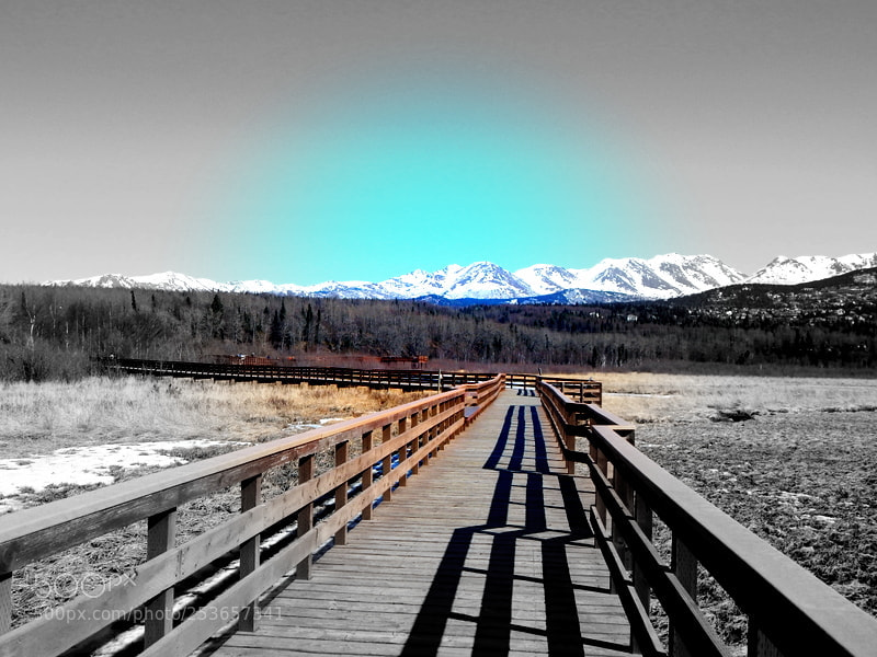 Nikon Coolpix L830 sample photo. Boardwalk at potters marsh photography