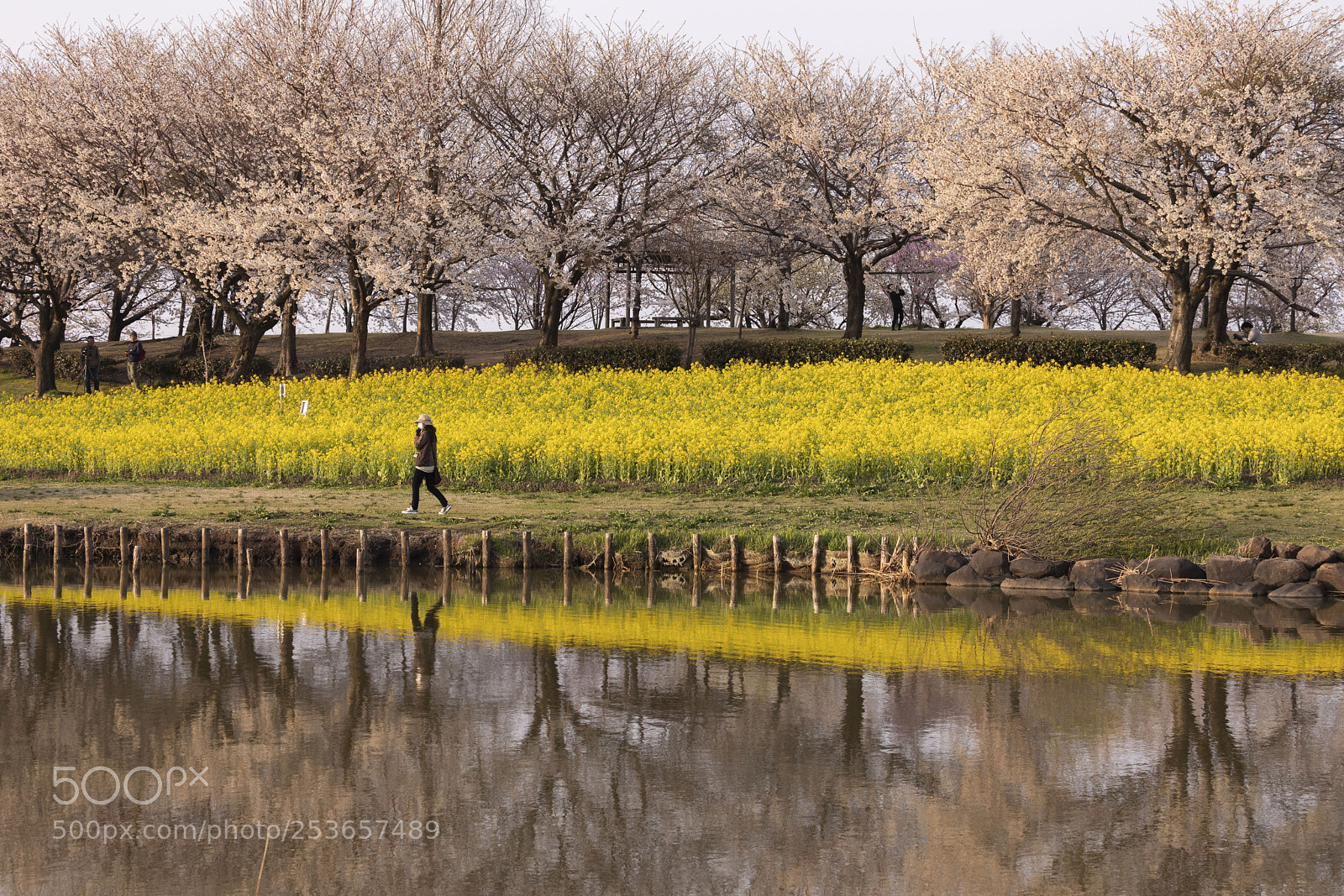 Canon EOS 5D Mark IV sample photo. Spring scape photography