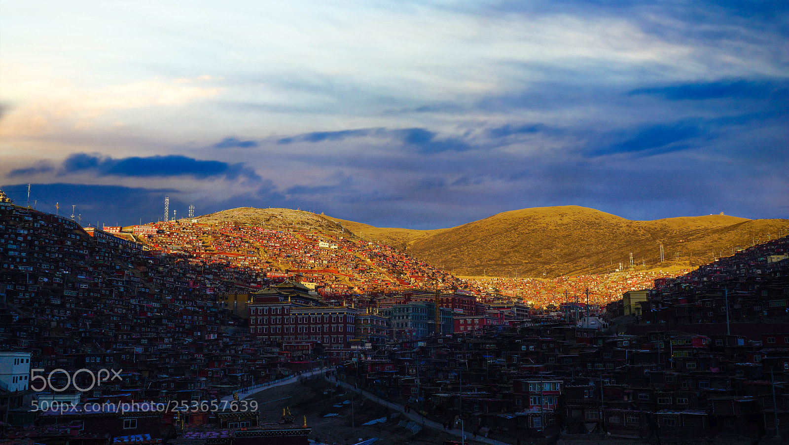 Sony a7R sample photo. Untitled photography