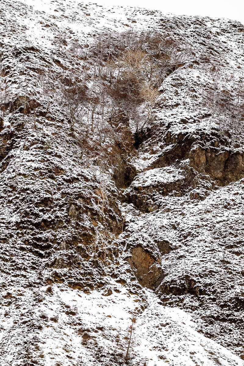 Fujifilm X-Pro2 sample photo. Ravine  photography