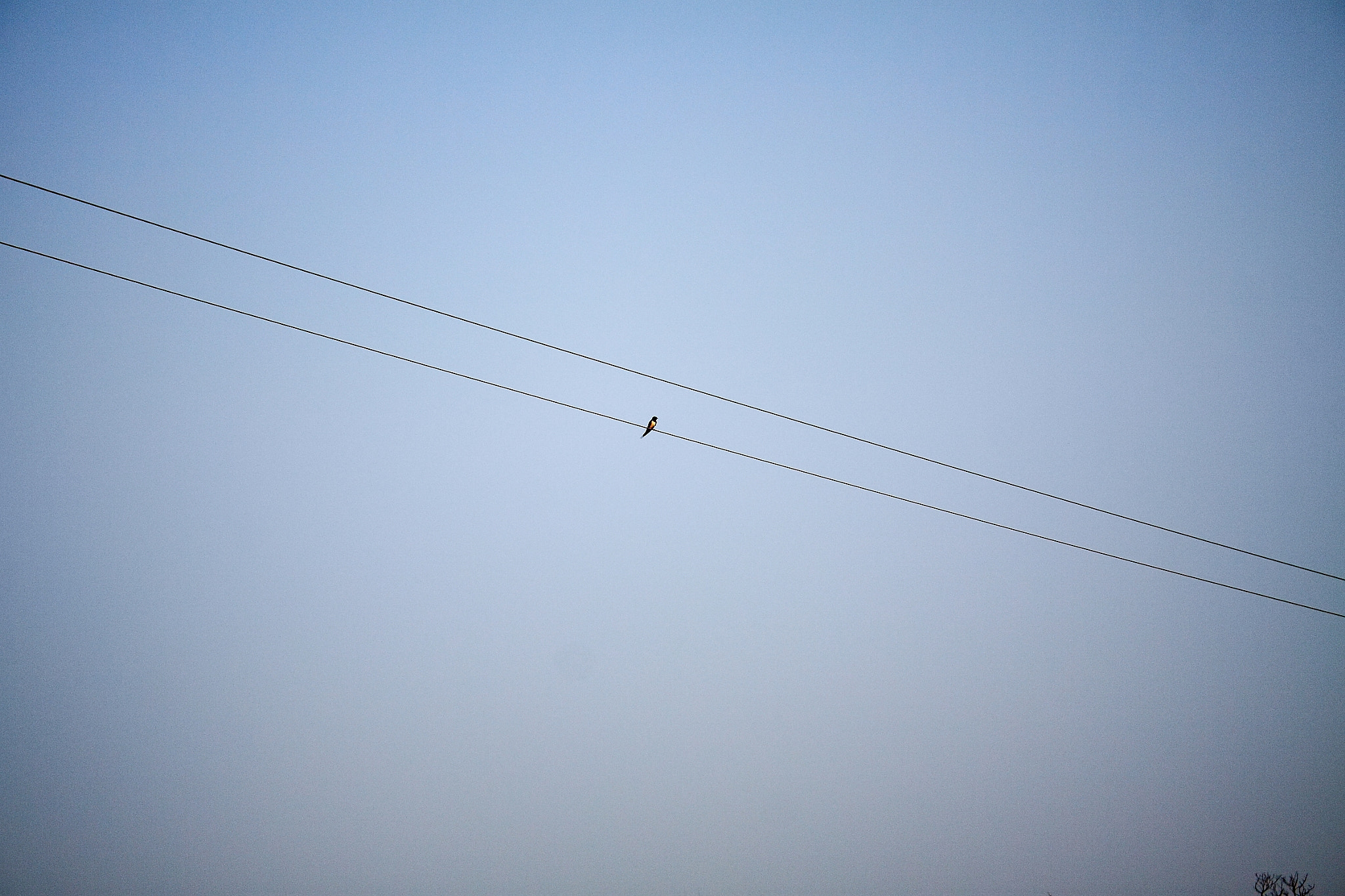 Canon EOS 50D sample photo. Img photography