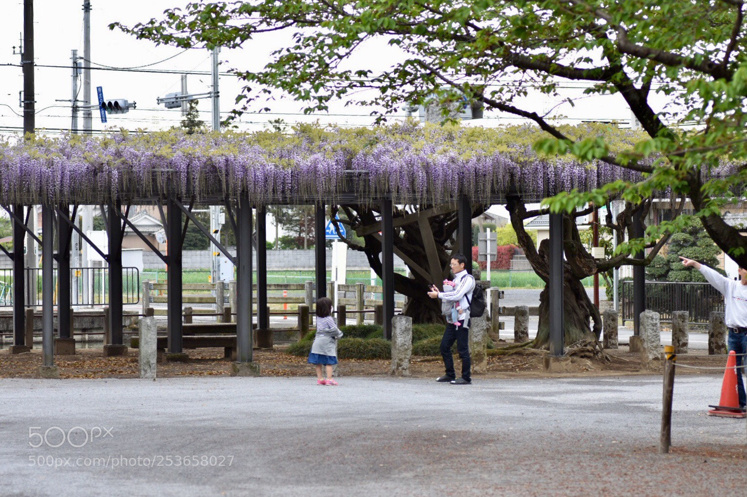 Nikon D7200 sample photo. Family  photography