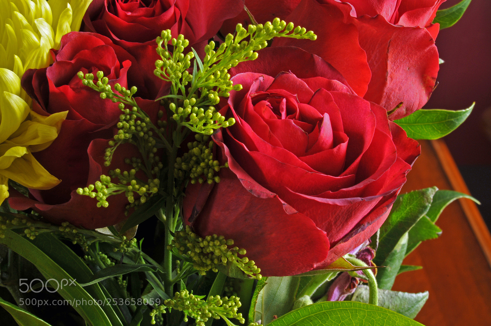 Nikon D300 sample photo. Feeling rosy photography