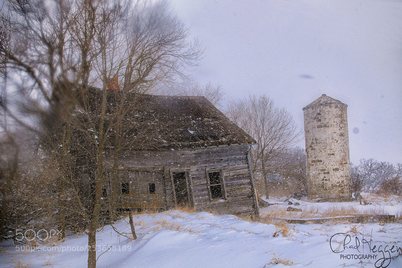Canon EOS 7D Mark II sample photo. Snowblind photography