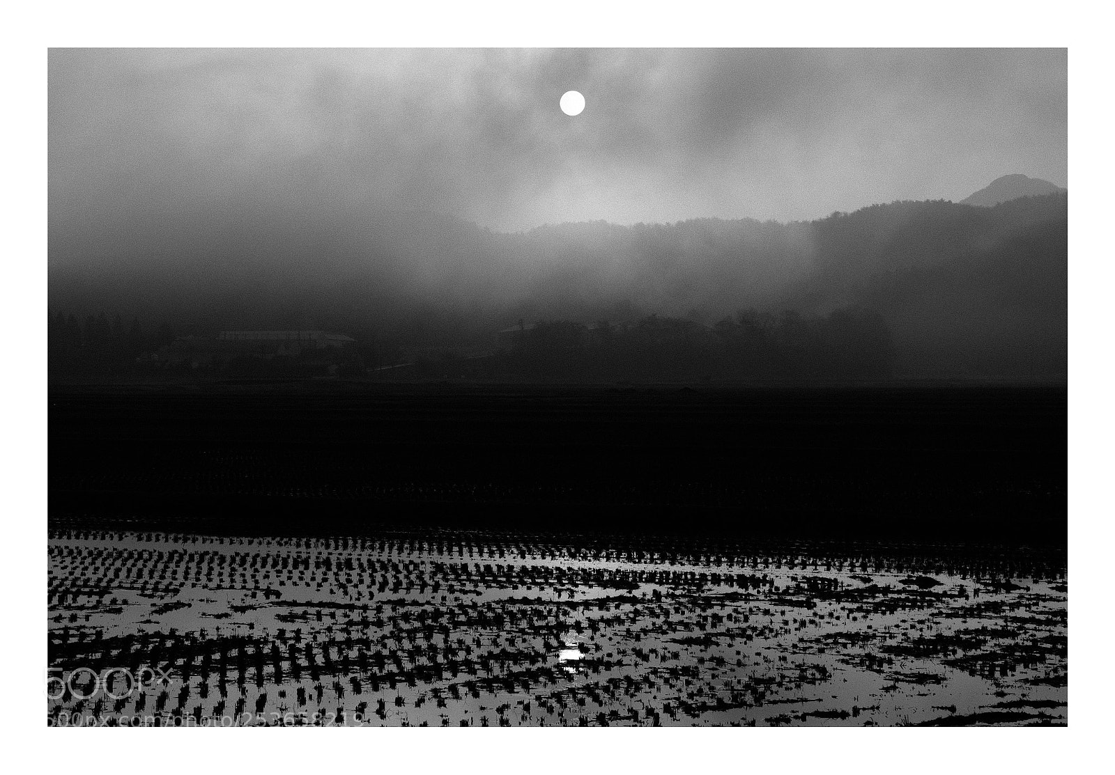 Fujifilm X-T2 sample photo. Spring haze and tow photography