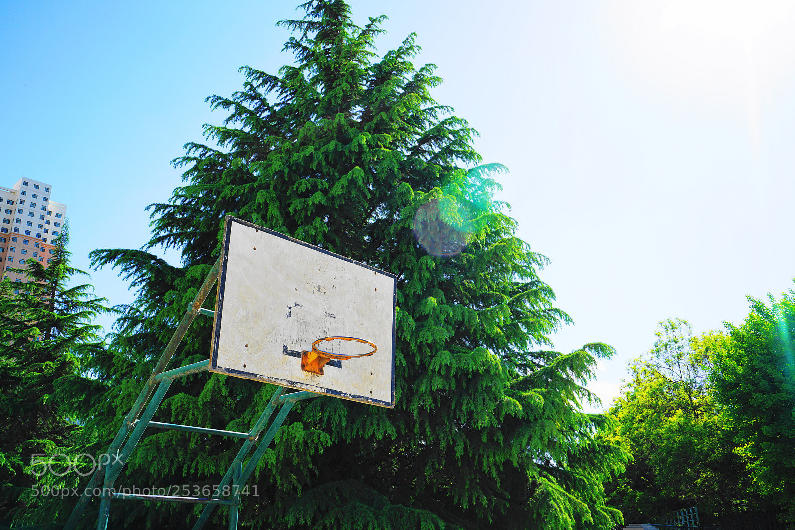 Sony a7R II sample photo. Summer photography