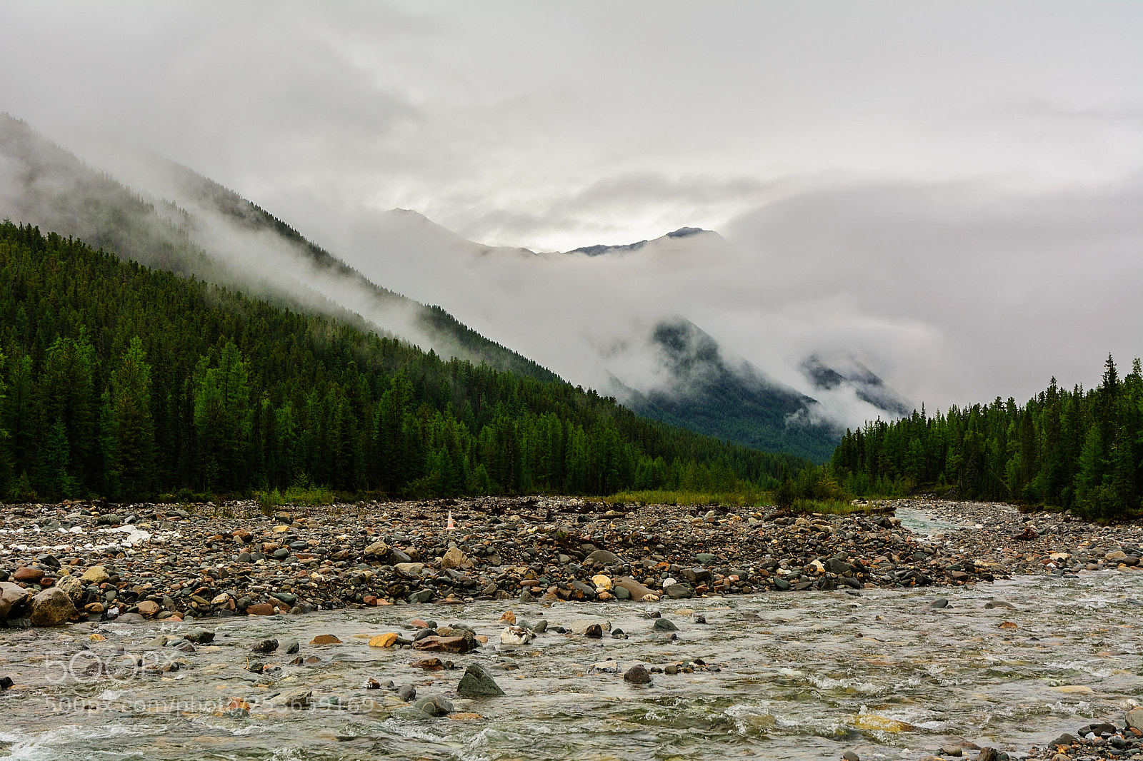 Nikon D5200 sample photo. The rain has stopped photography