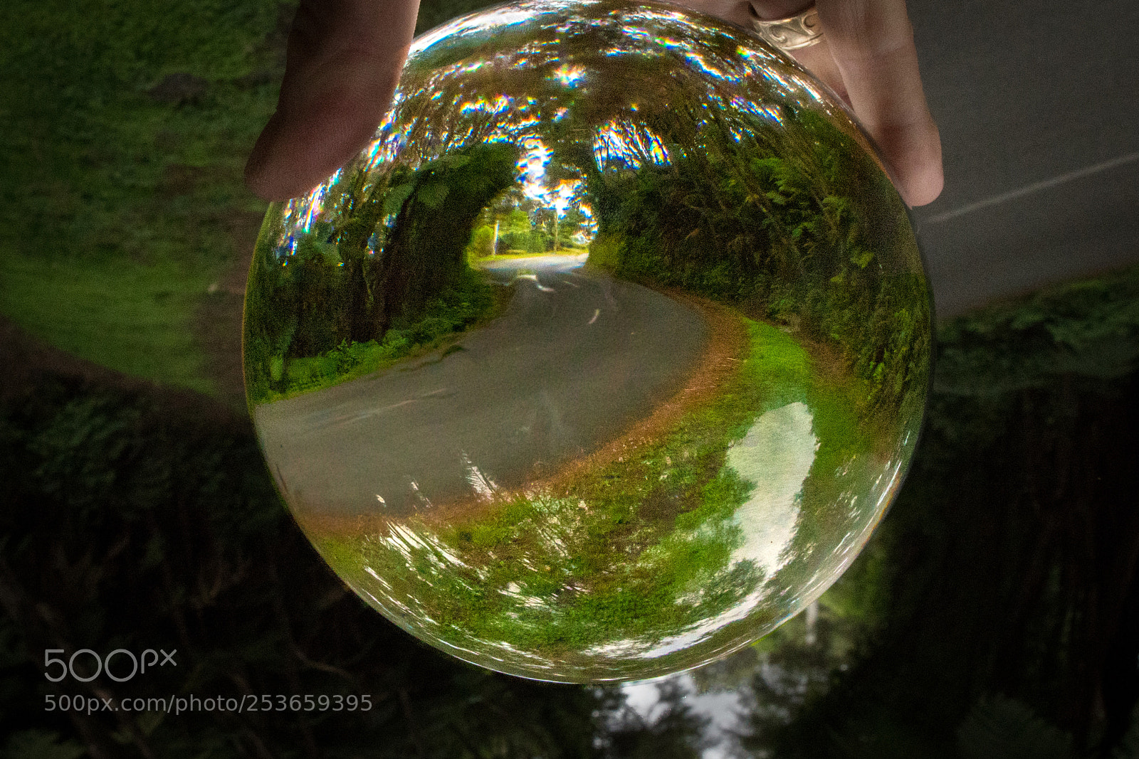Sony a7R II sample photo. Country road photography