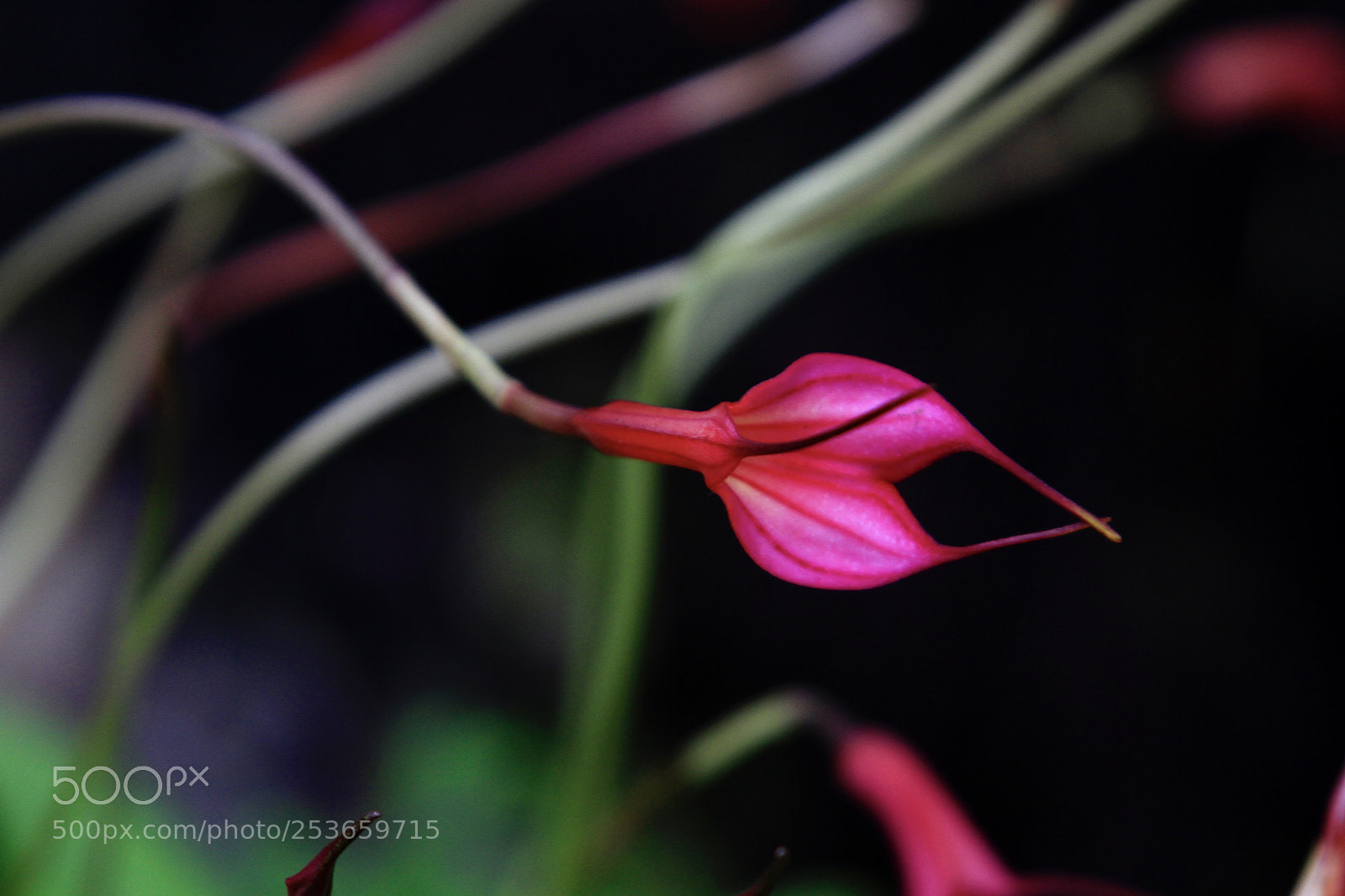 Canon EOS 7D sample photo. Untitled photography