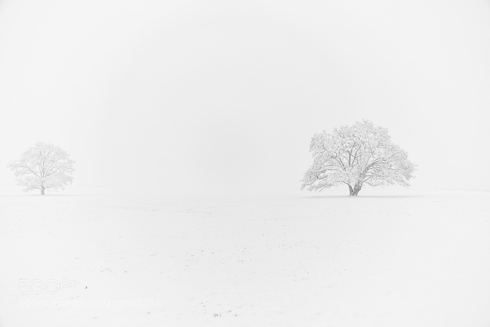 Sony a9 sample photo. White out photography