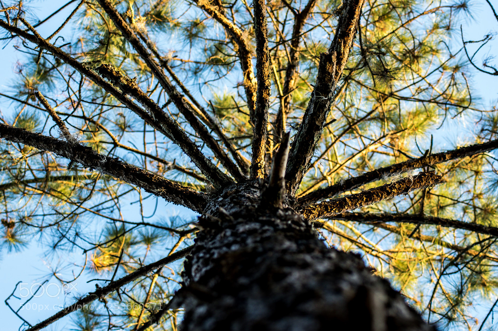 Nikon D5600 sample photo. Untitled photography