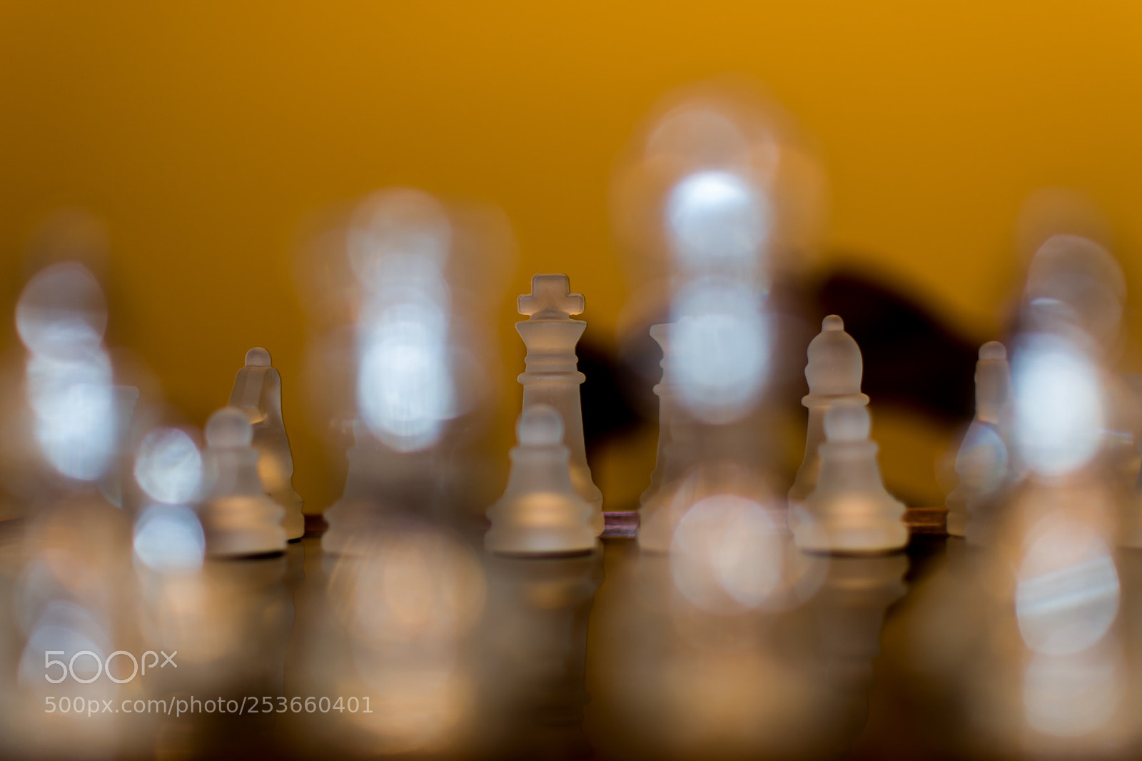 Nikon D5600 sample photo. Macro chess photography