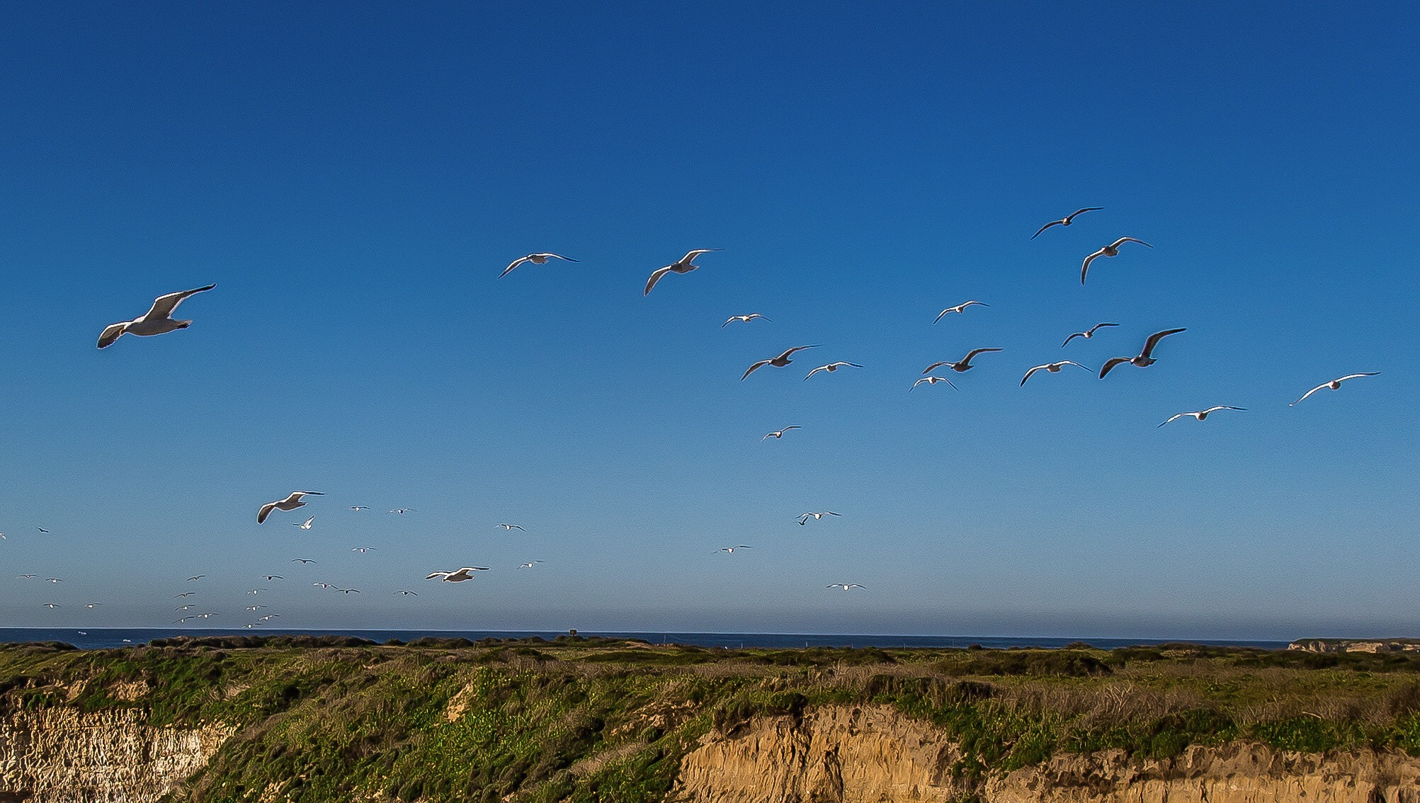 Canon PowerShot G1 X Mark II sample photo. How many? photography