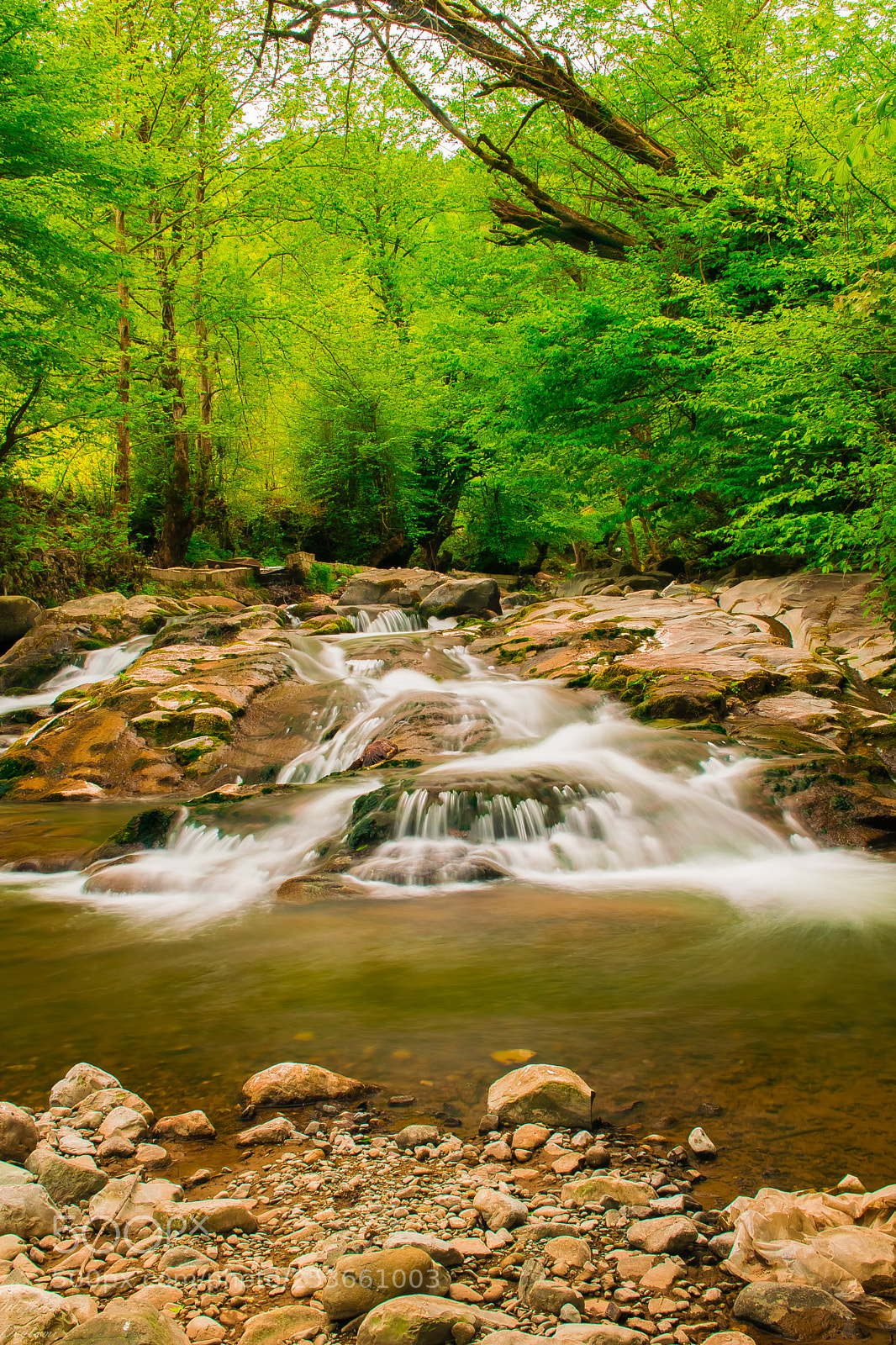 Nikon D5300 sample photo. The green river photography