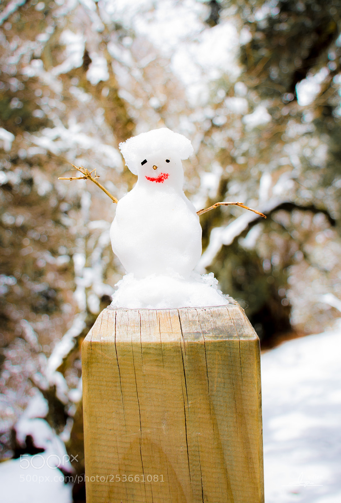 Nikon D7100 sample photo. Snow man photography
