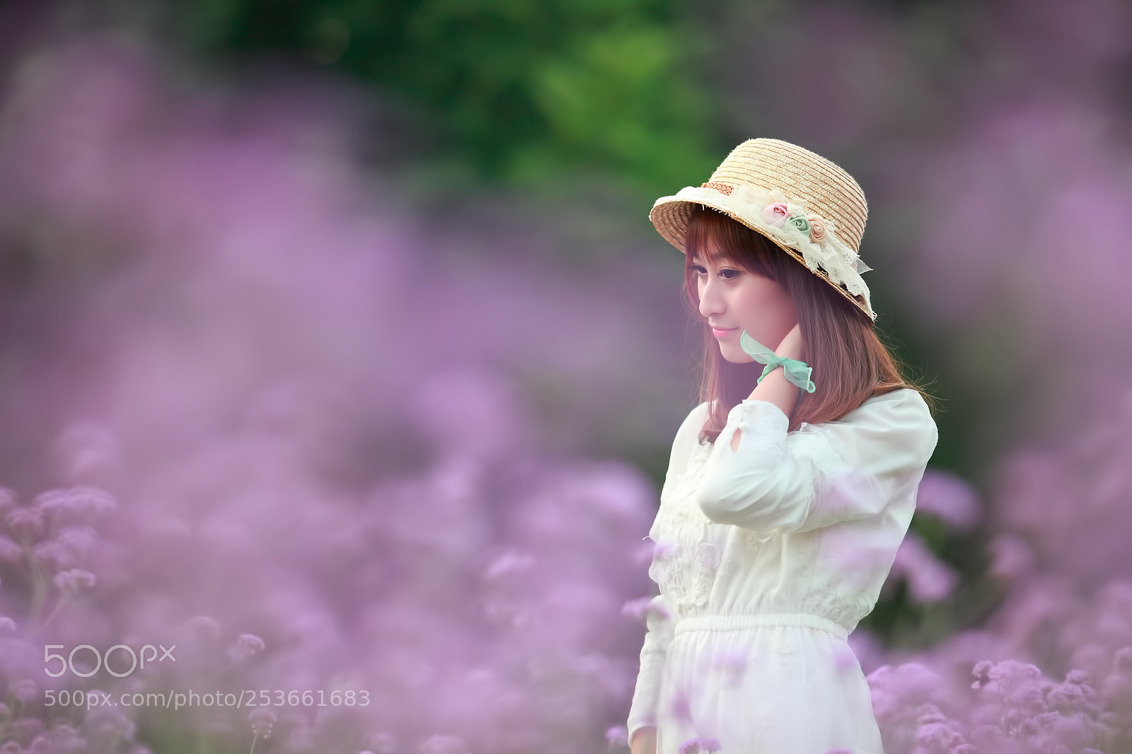 Canon EOS-1D Mark III sample photo. R photography