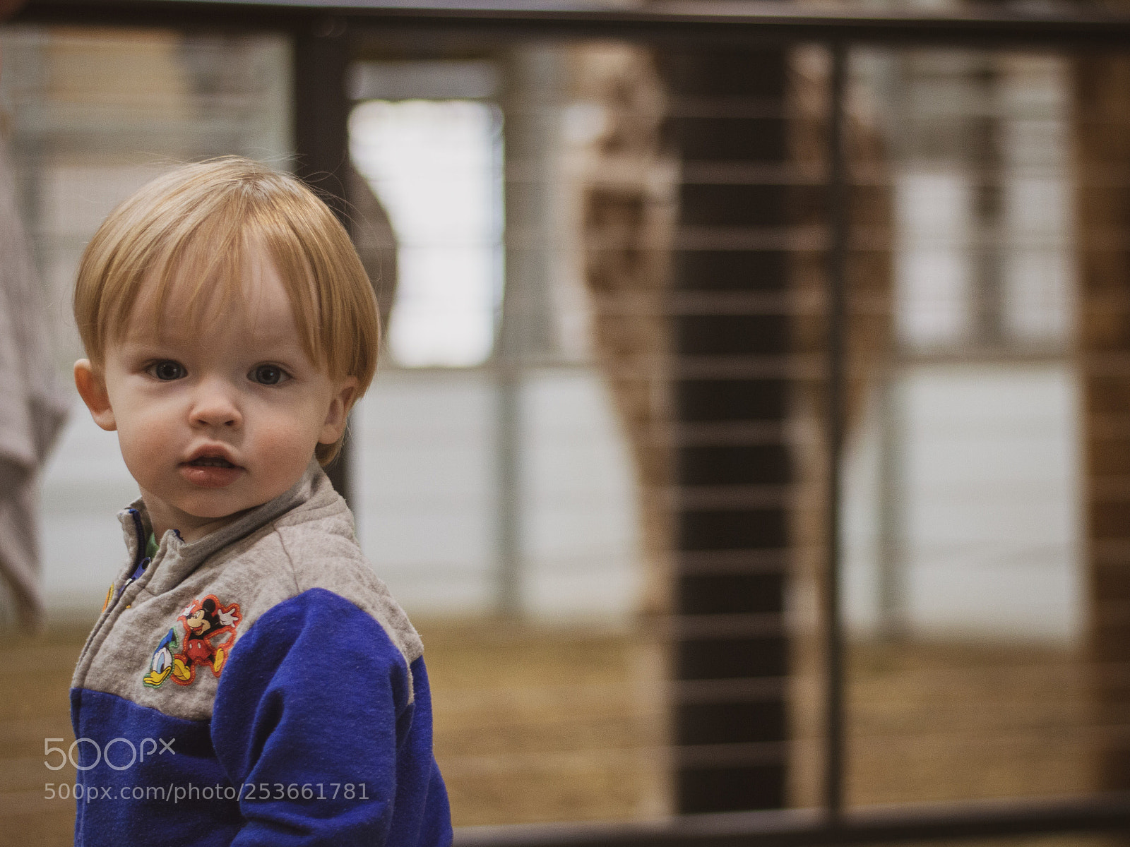Nikon D3200 sample photo. Bubba and the giraffe  photography