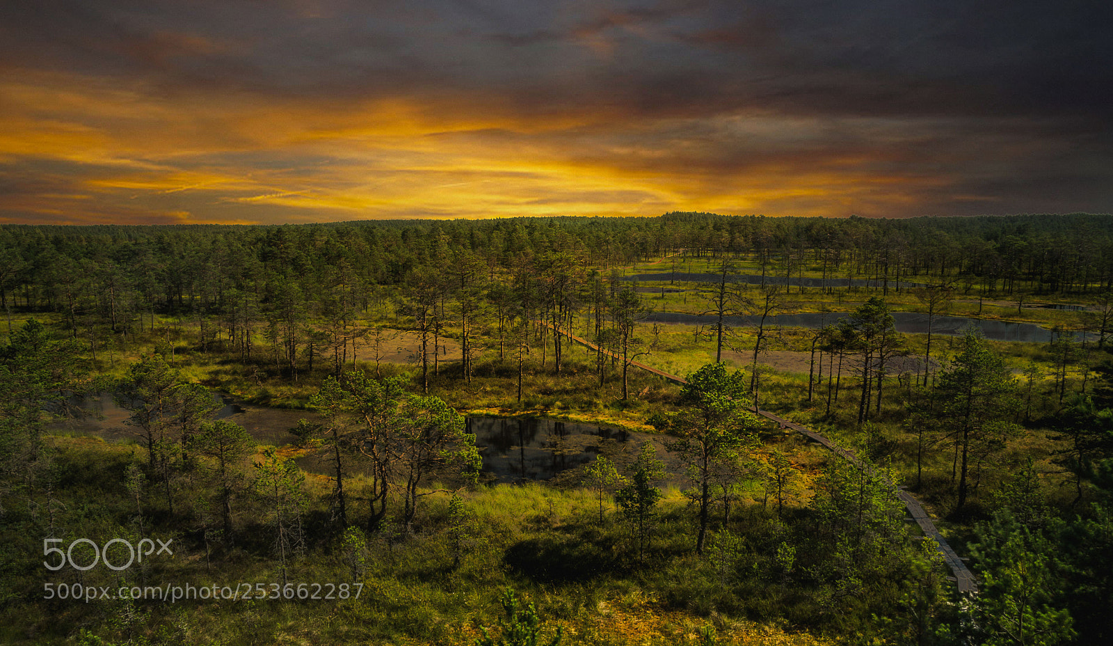 Sony a6000 sample photo. Lahemaa national park, estonia photography