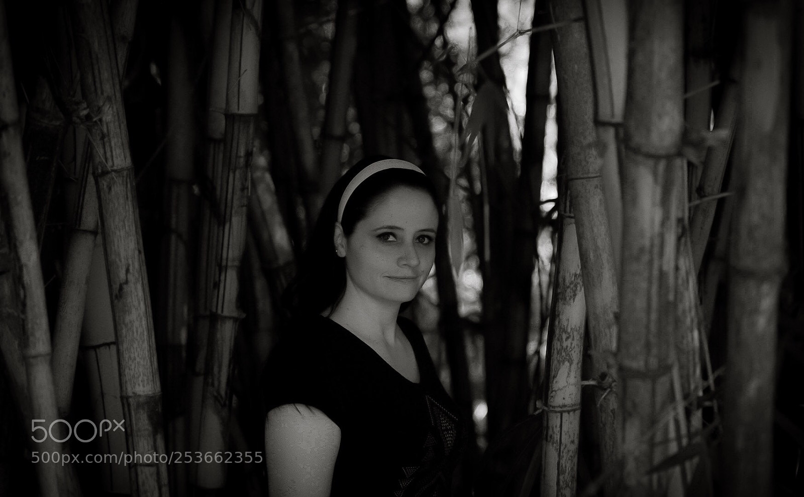 Sony a7 II sample photo. Beautiful photography