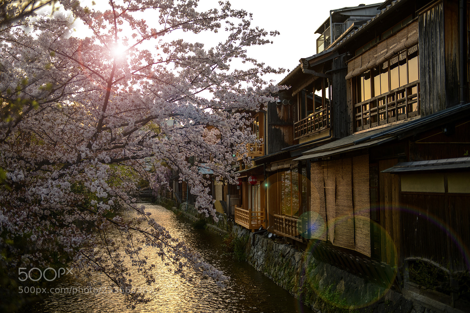 Nikon D850 sample photo. Morning sunrise at gion photography