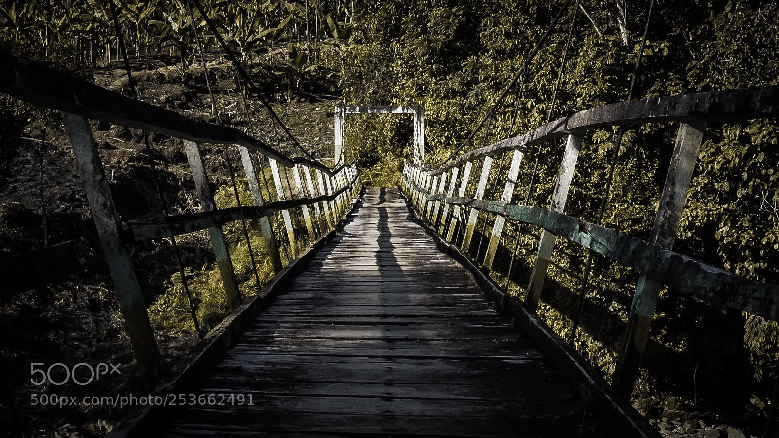 Sony a7 II sample photo. South ecuador photography