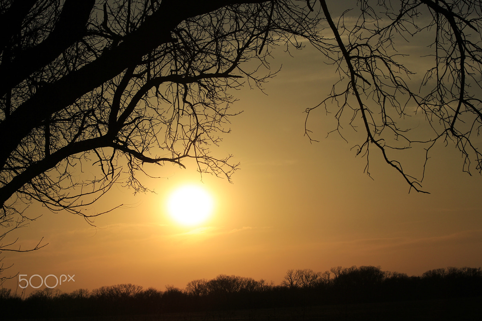 Canon EF 70-300mm F4-5.6 IS USM sample photo. Kansas sunset with tree silhouette photography