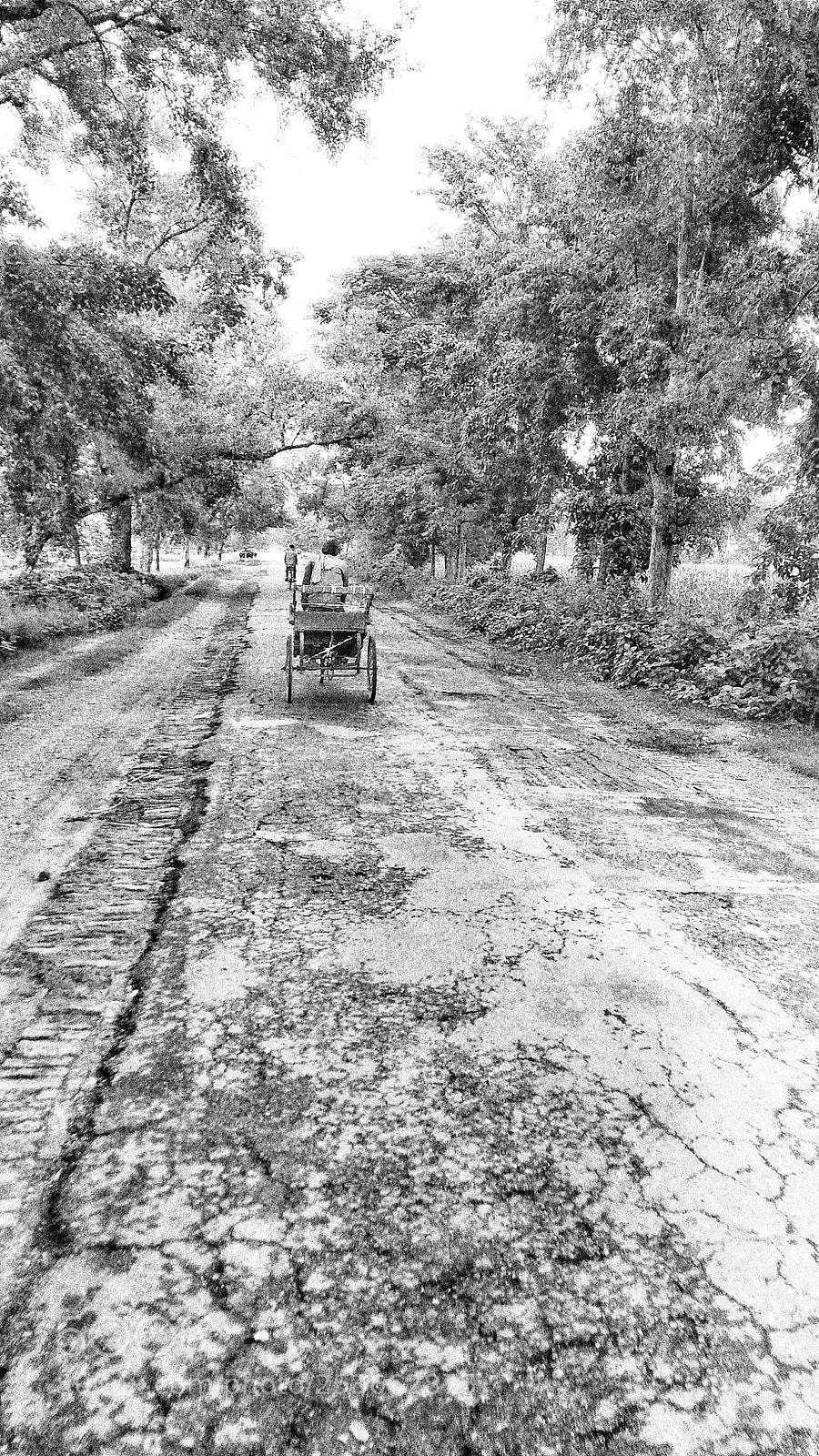 Xiaomi Redmi Note 4 sample photo. Untitled photography
