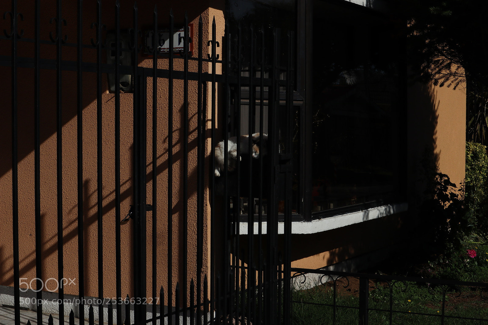Canon EOS M6 sample photo. Chile photography