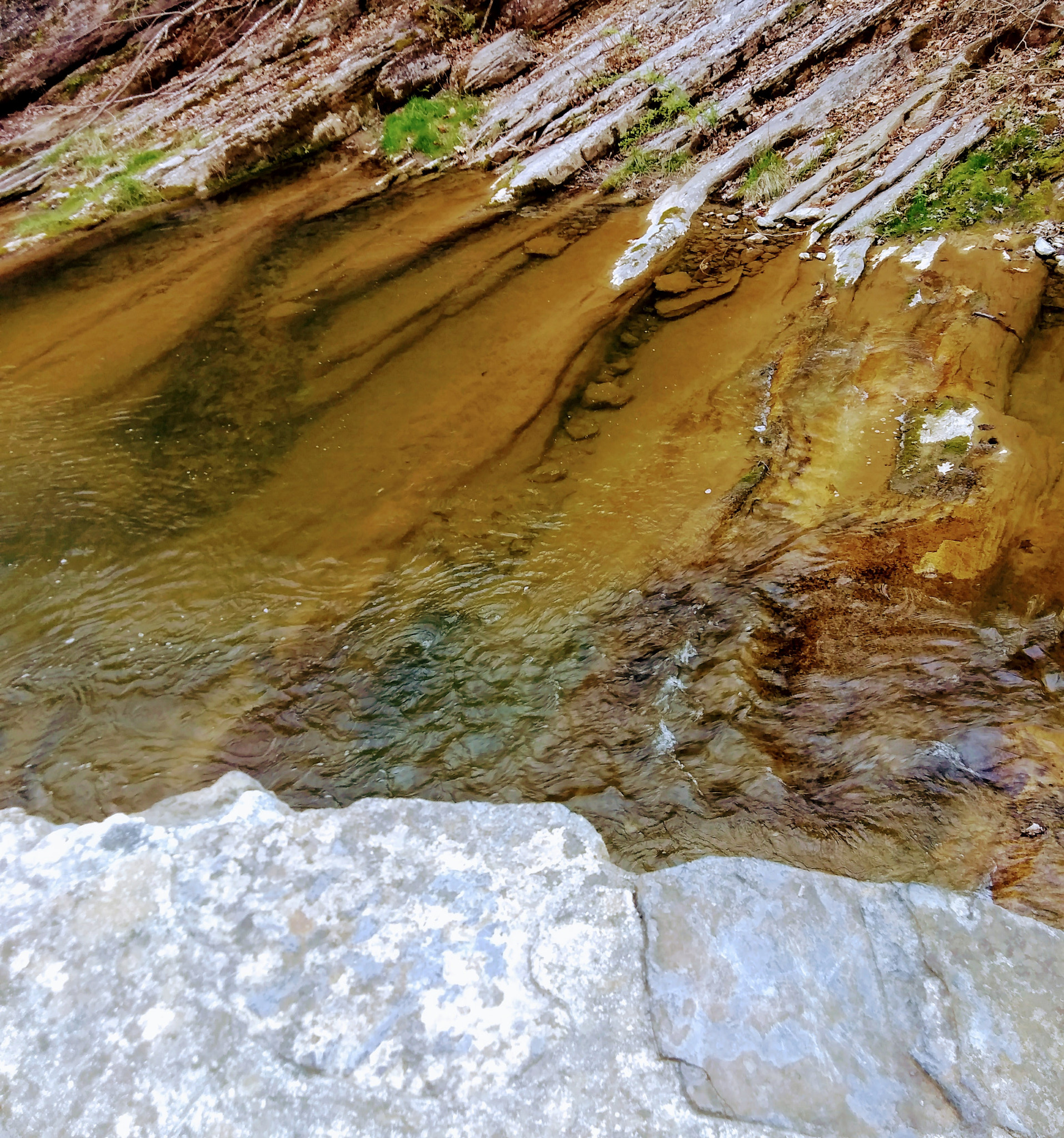 ZTE Z971 sample photo. Img_20180414_173550.jpg photography