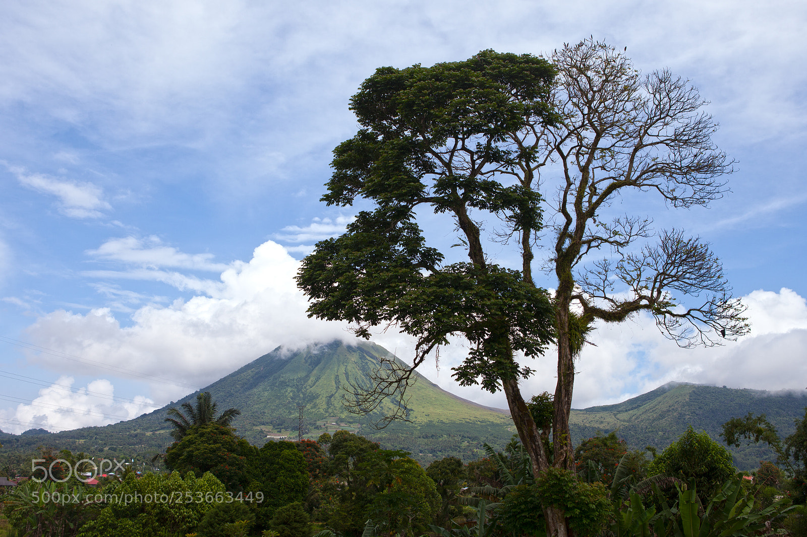 Canon EOS 5D Mark II sample photo. Mount lokon photography