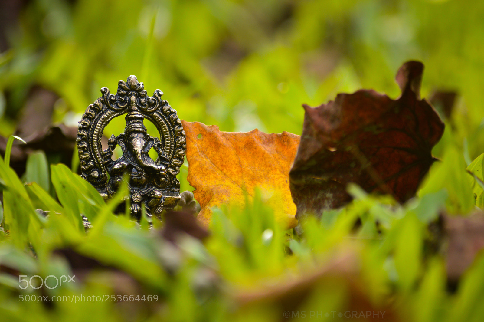 Nikon D3200 sample photo. Ganapati bappa moriya photography