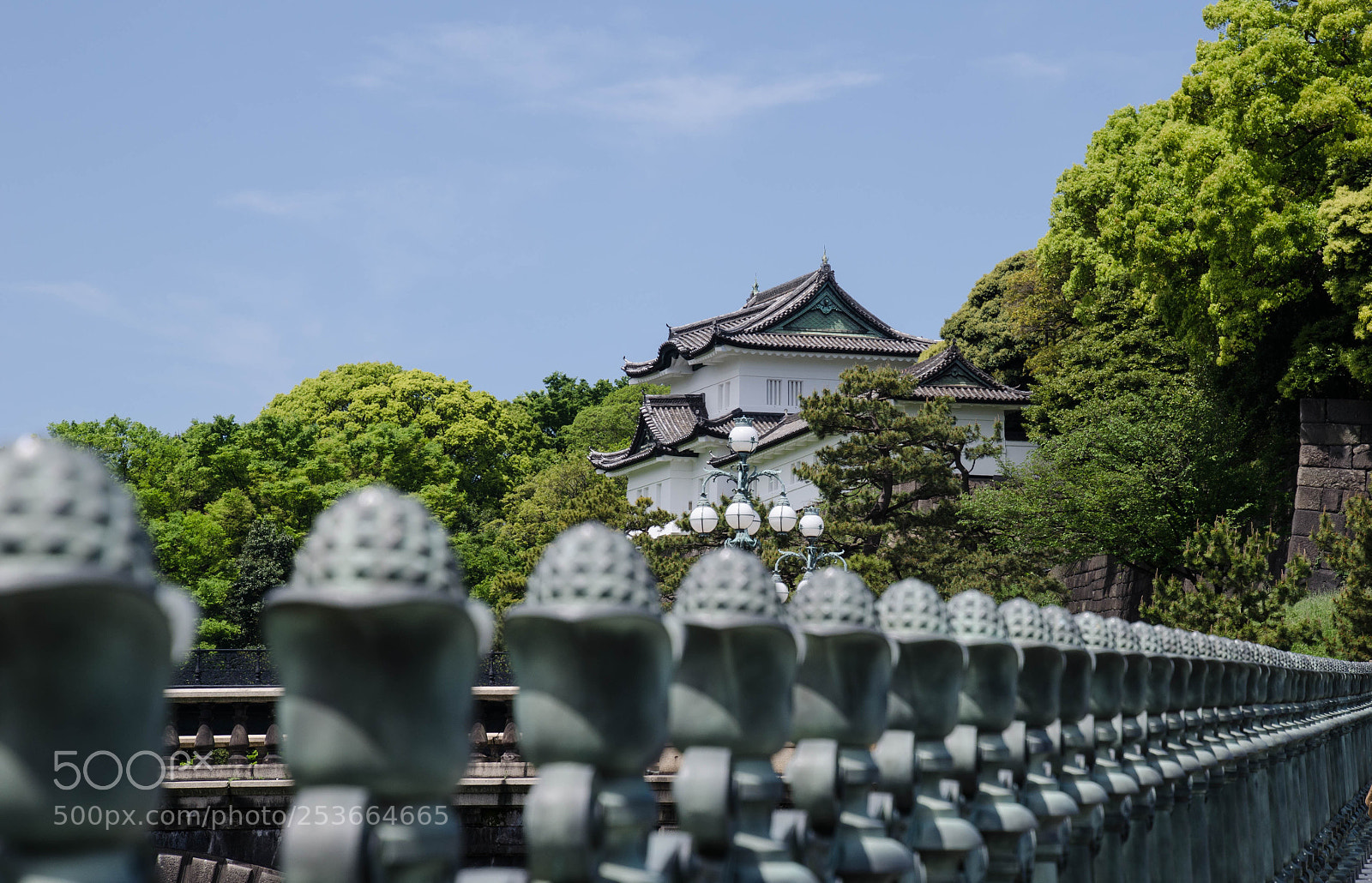 Nikon D5100 sample photo. Palacio imperial, tokyo photography