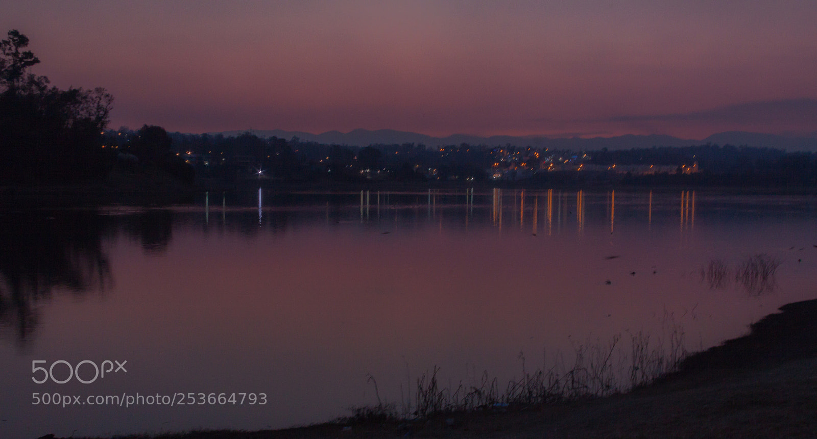 Canon EOS 50D sample photo. Rosa photography