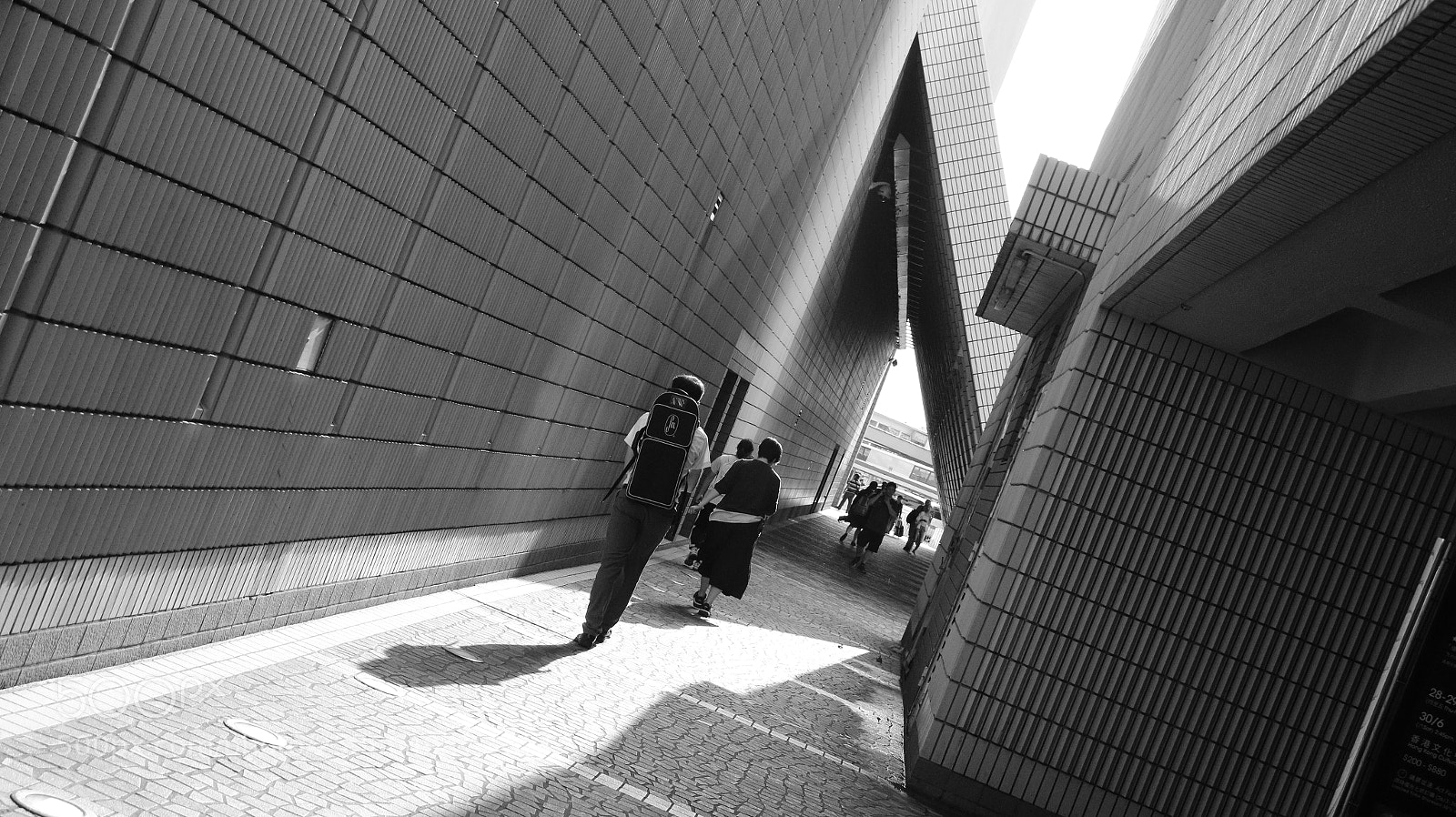 Canon EOS 70D sample photo. The shadow photography