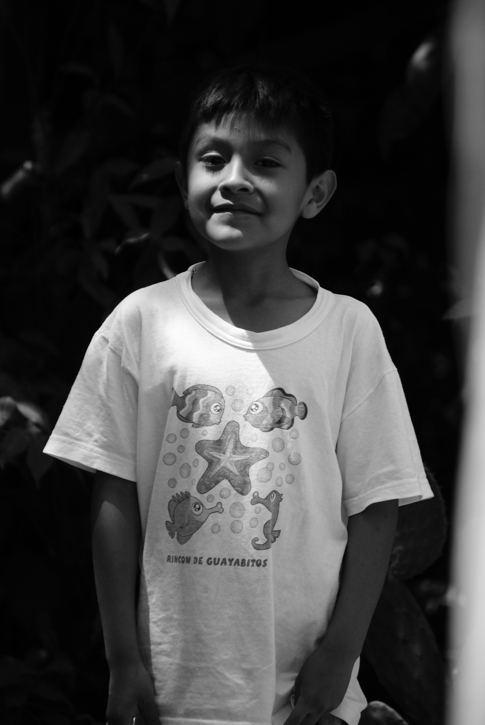 Sony 75-300mm F4.5-5.6 sample photo. Hermano photography