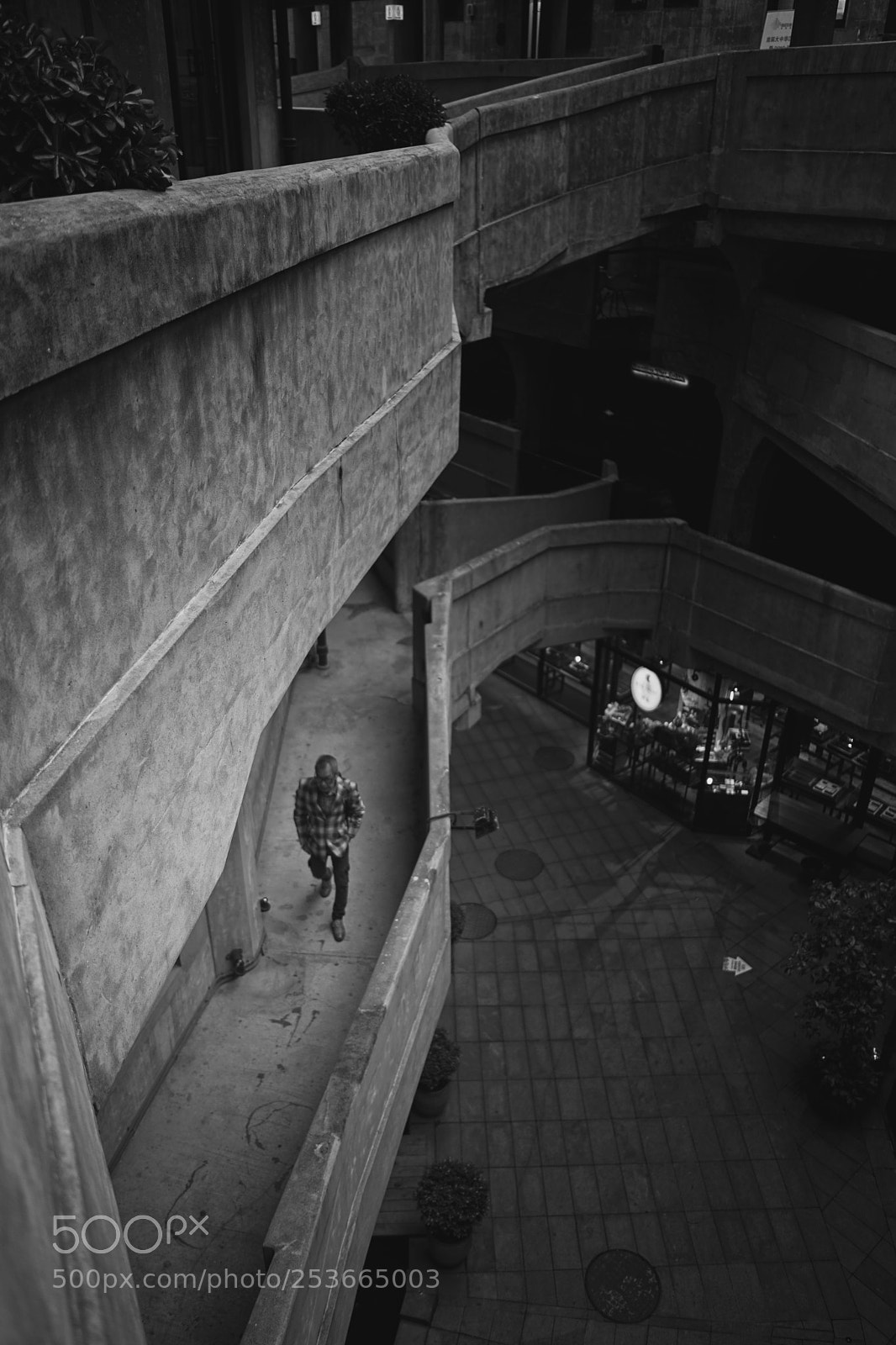 Sony a7 II sample photo. Untitled photography